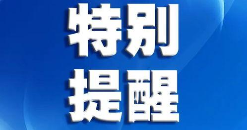 深圳爆料最新新闻消息视频,视频揭示城市动态与热点事件 第2张 深圳爆料最新新闻消息视频,视频揭示城市动态与热点事件 第2张
